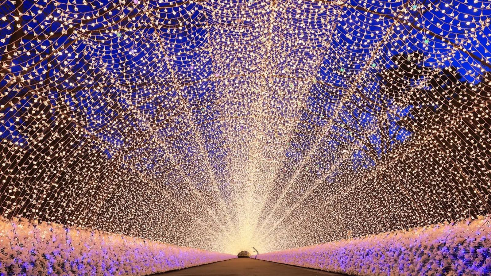 なばなの里イルミネーション☆当館から徒歩圏内の好立地！