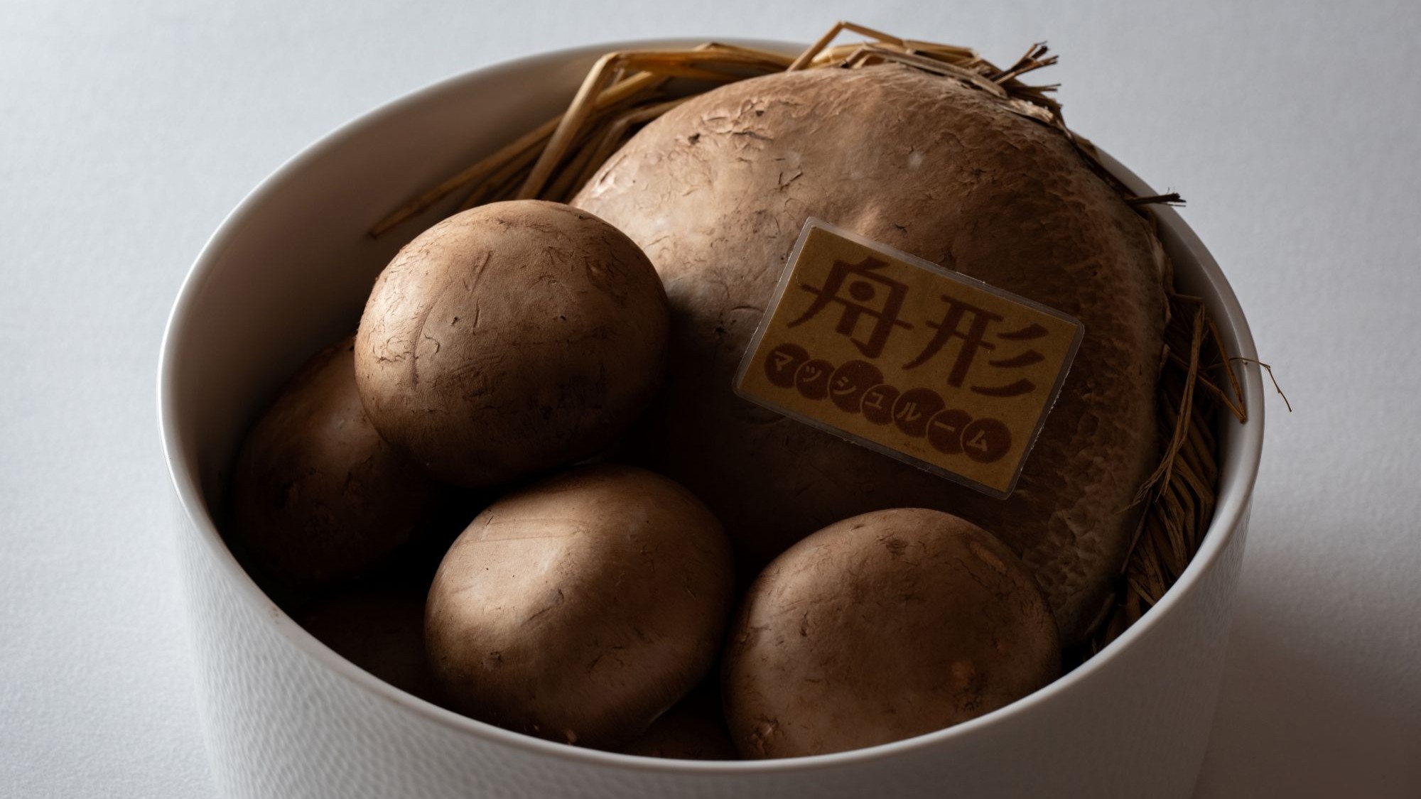 食材／舟形マッシュルーム、フレッシュながらワイルドな香りをお楽しみください