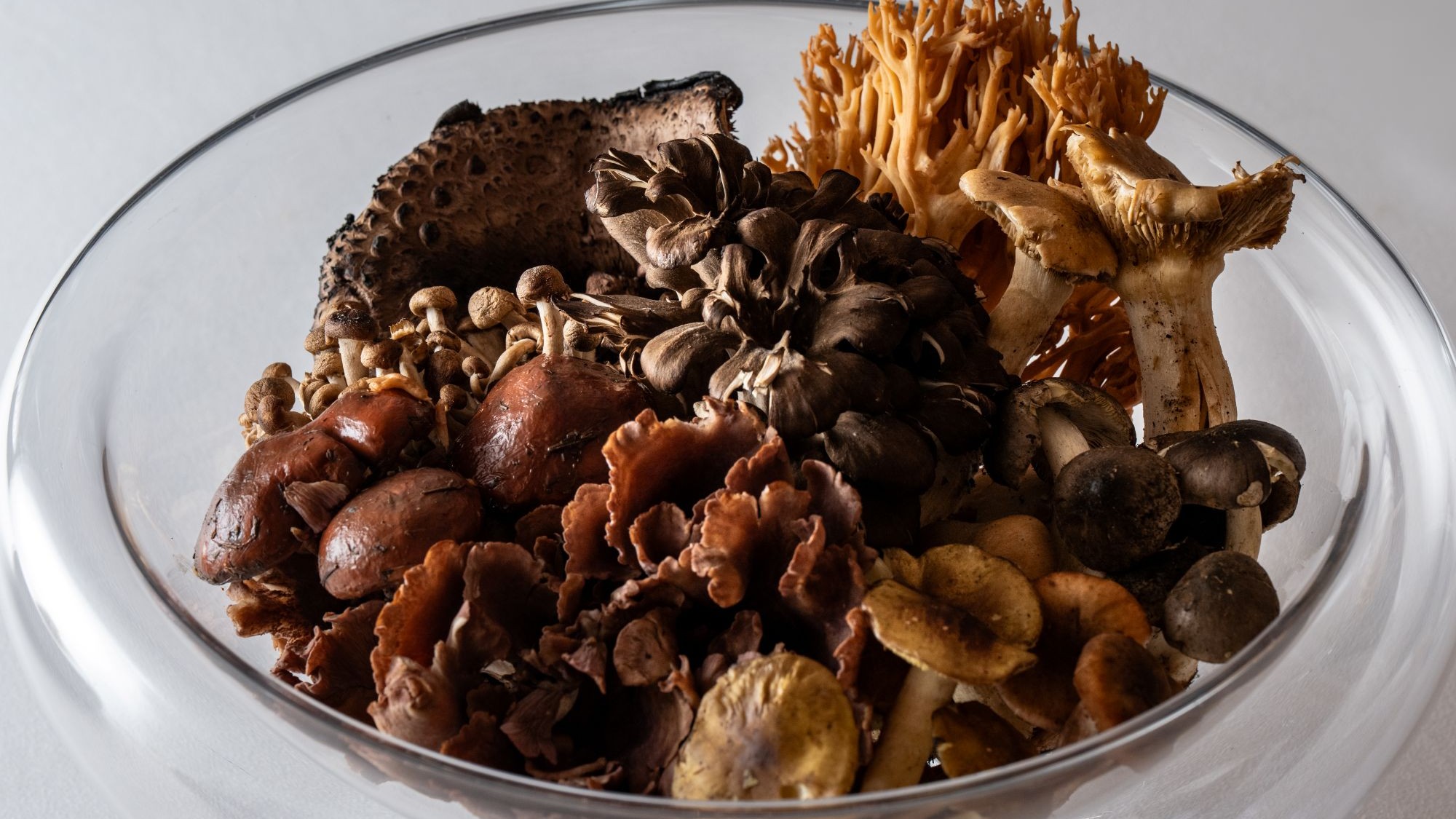 食材／秋の味覚を味わう、極上のキノコたち