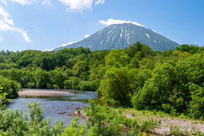 【早割】グリーンシーズンのニセコを先取り予約・源泉かけ流し温泉、地場の料理を味わう　夕朝食付