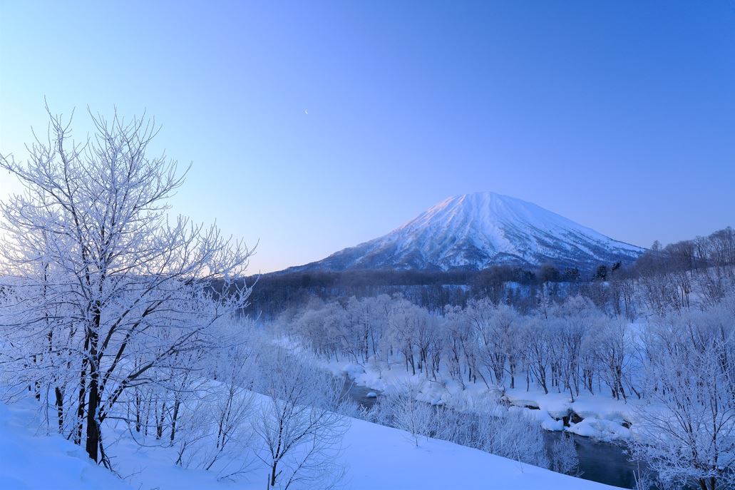 【24-25冬早割】冬のニセコを先取り予約・雪原風景と温泉、地場の料理を味わう　夕朝食付