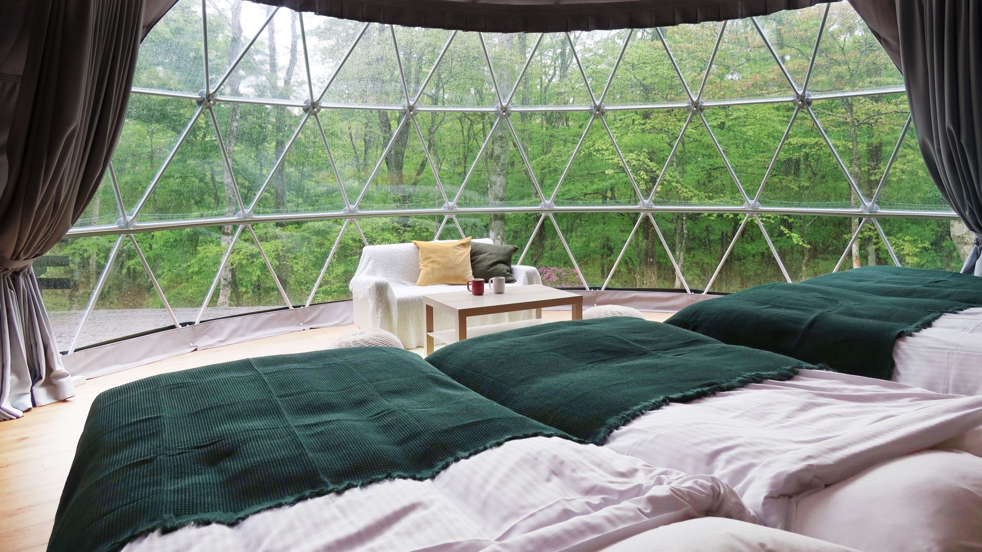 3周年記念｜【プレミアム◆2食付】最大20％OFF！静岡牛「葵」を味わう贅沢BBQプラン