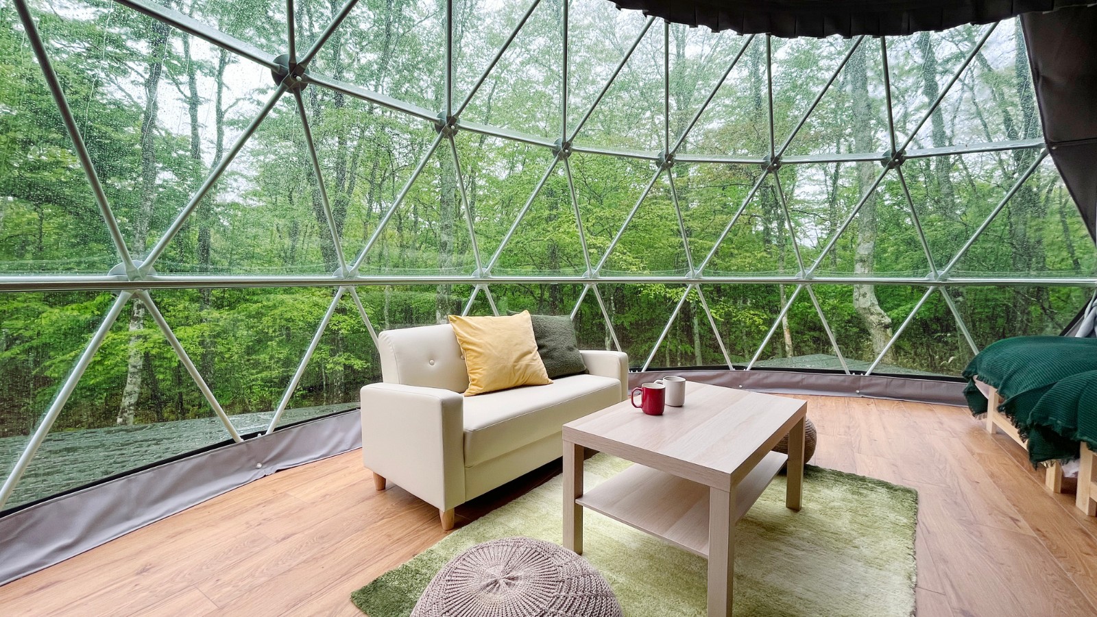 デラックスビュー