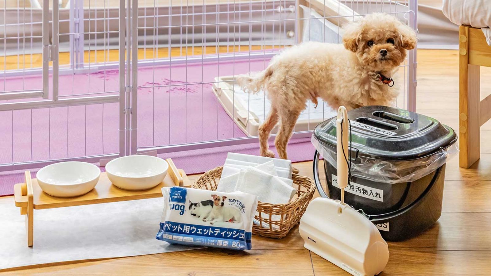 【ペット｜愛鷹】ASHITAKAドーム専有96平米｜デッキ付