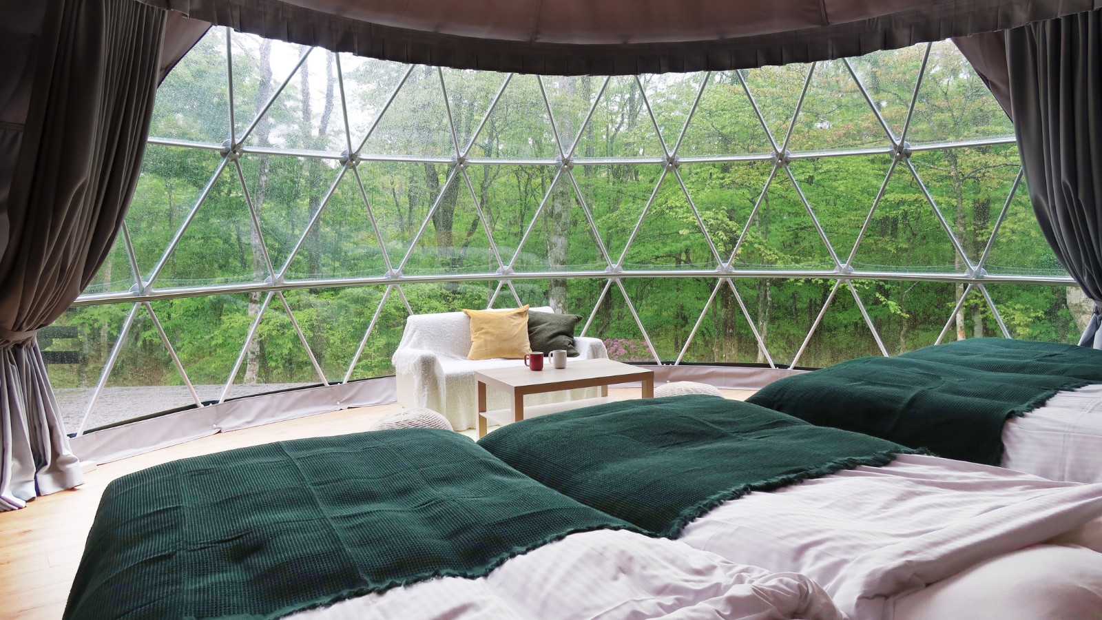 デラックスビュー