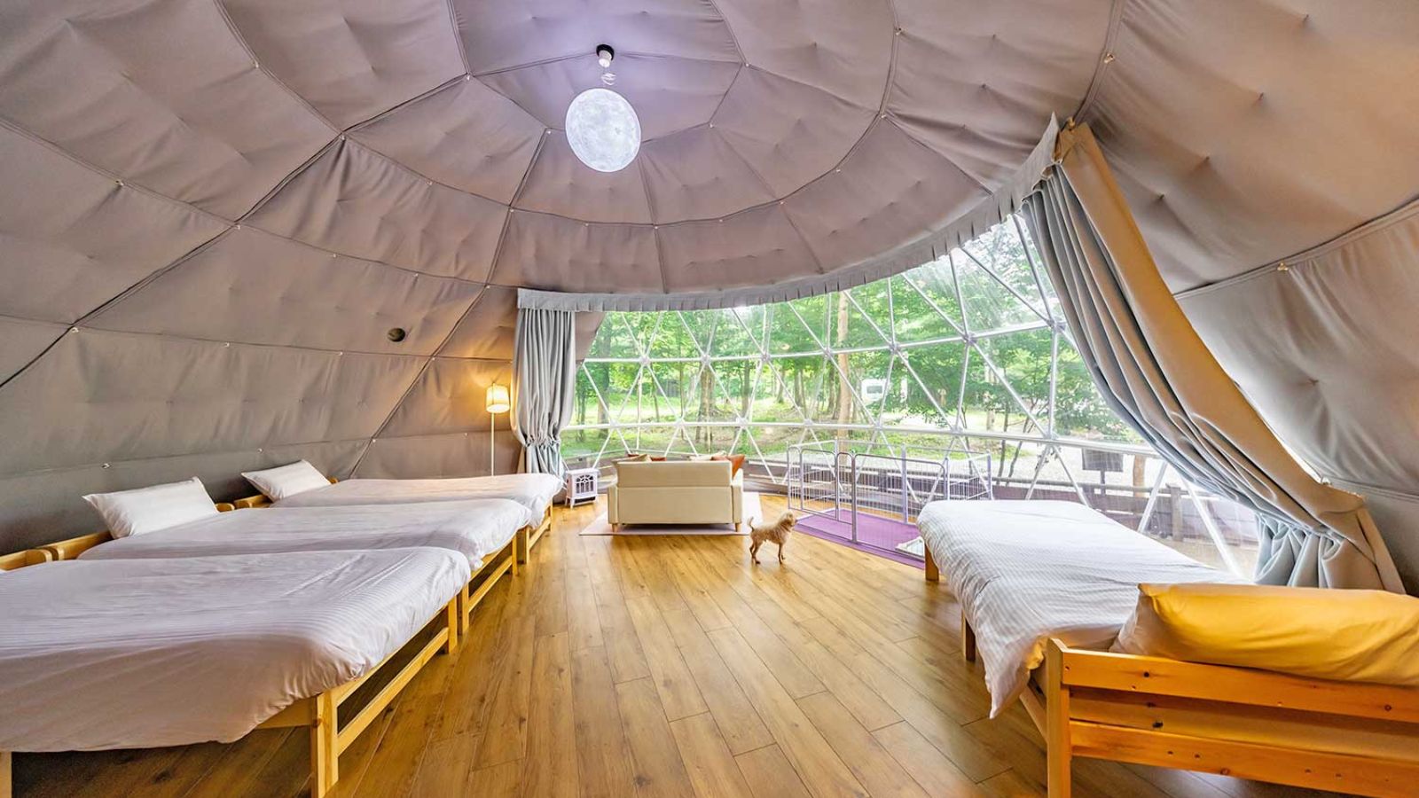 【ペット｜愛鷹】ASHITAKAドーム専有96平米｜デッキ付