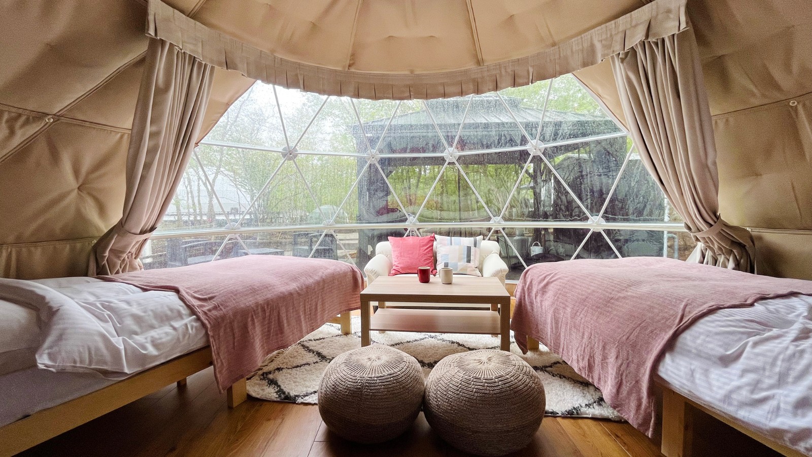 ペット同伴スタンダードビュー【5ｍ】