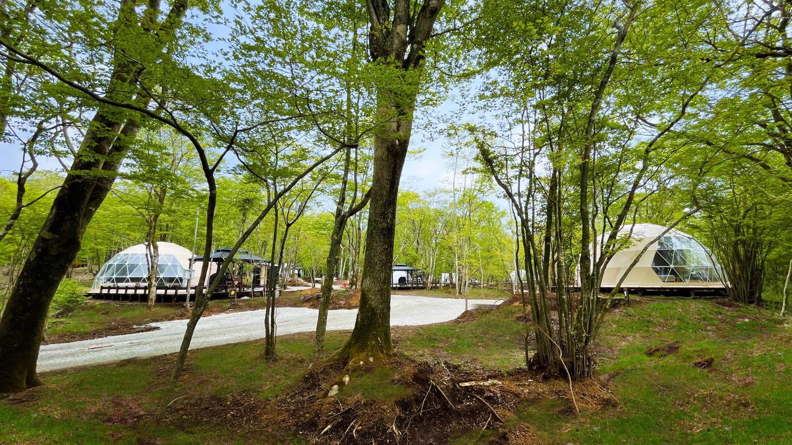 緑あふれるキャンプ場