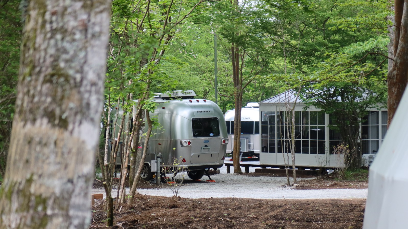 林間に並ぶトレーラー