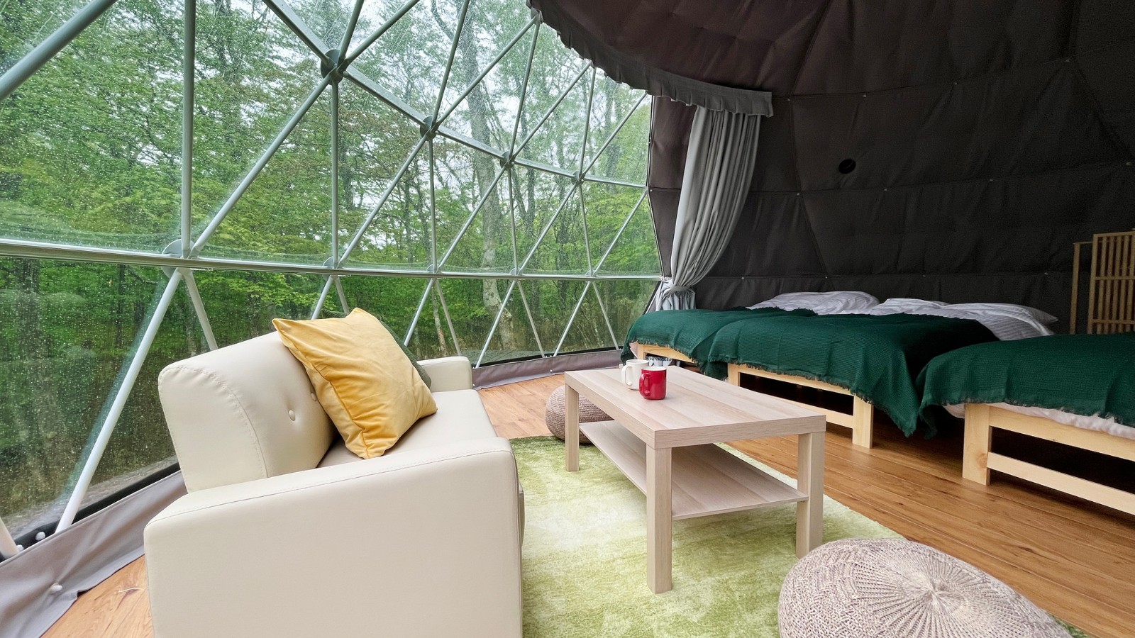 デラックスビュー