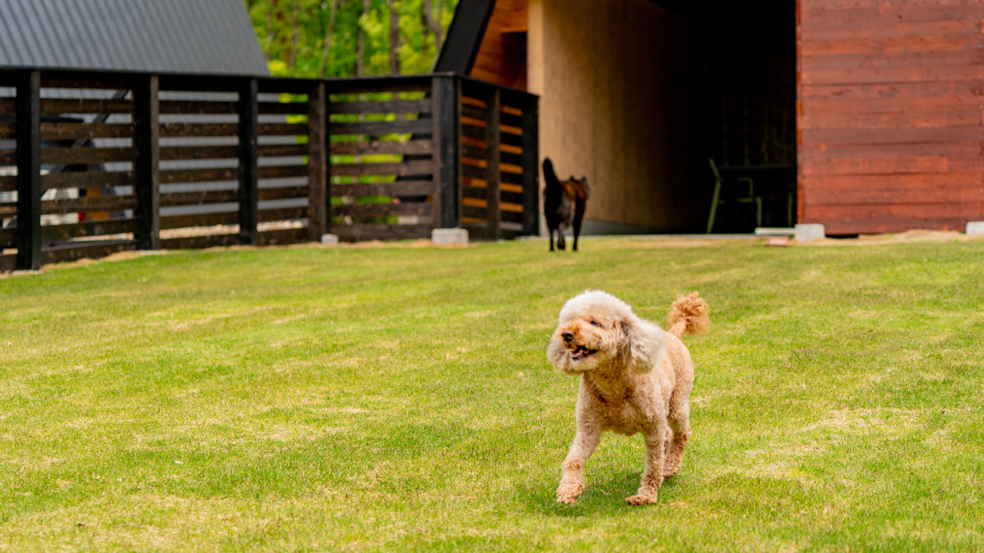 【楽天スーパーSALE】那須の自然をゆっくりと満喫〈素泊り〉
