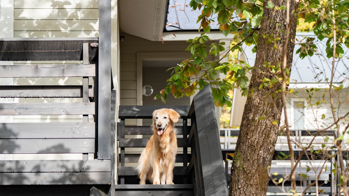 那須の食材を贅沢にお届け！2食付〈豆乳しゃぶしゃぶ〉