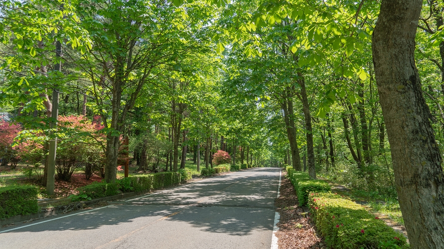 メイン道路