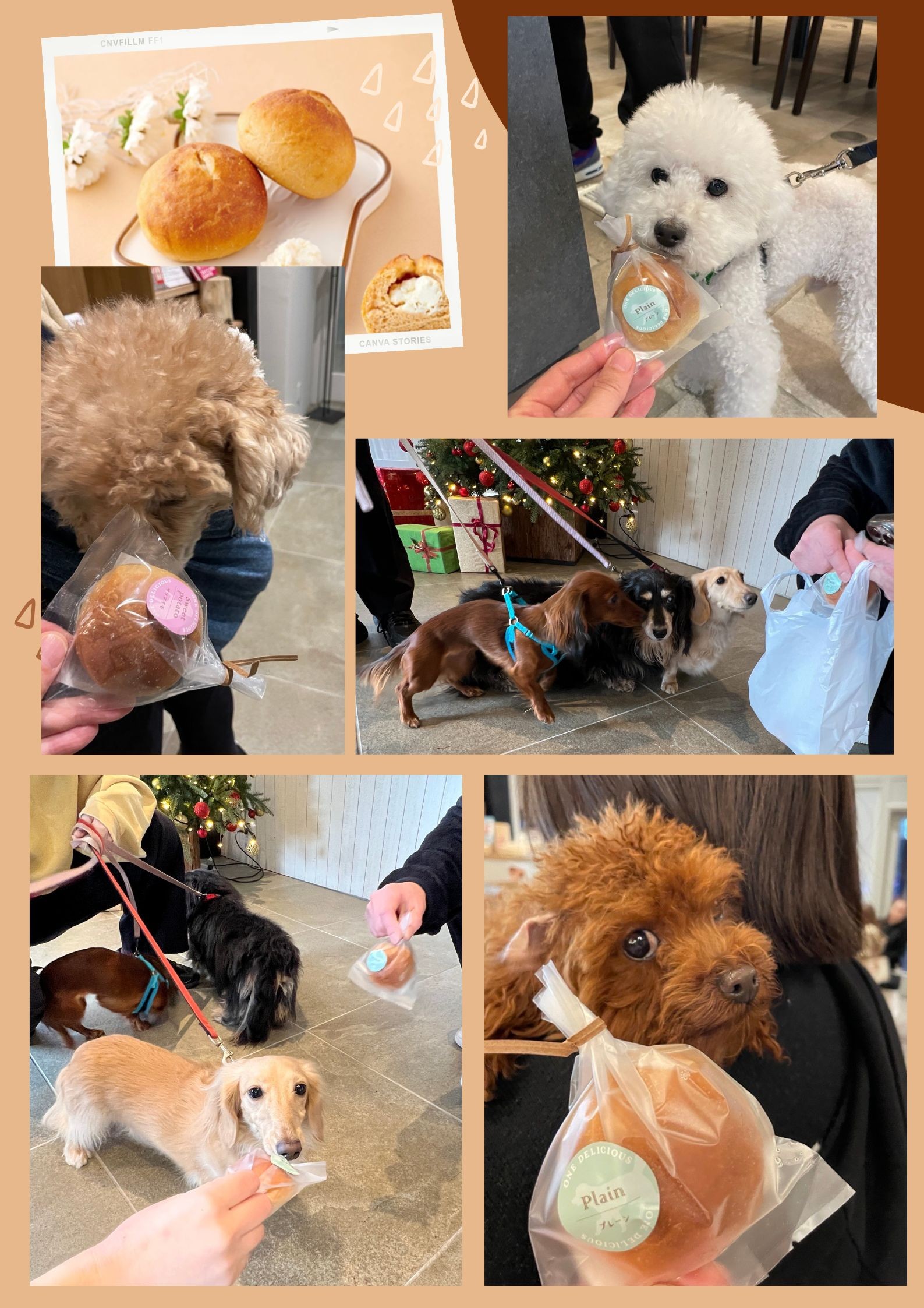 ワンデリシャスイベント