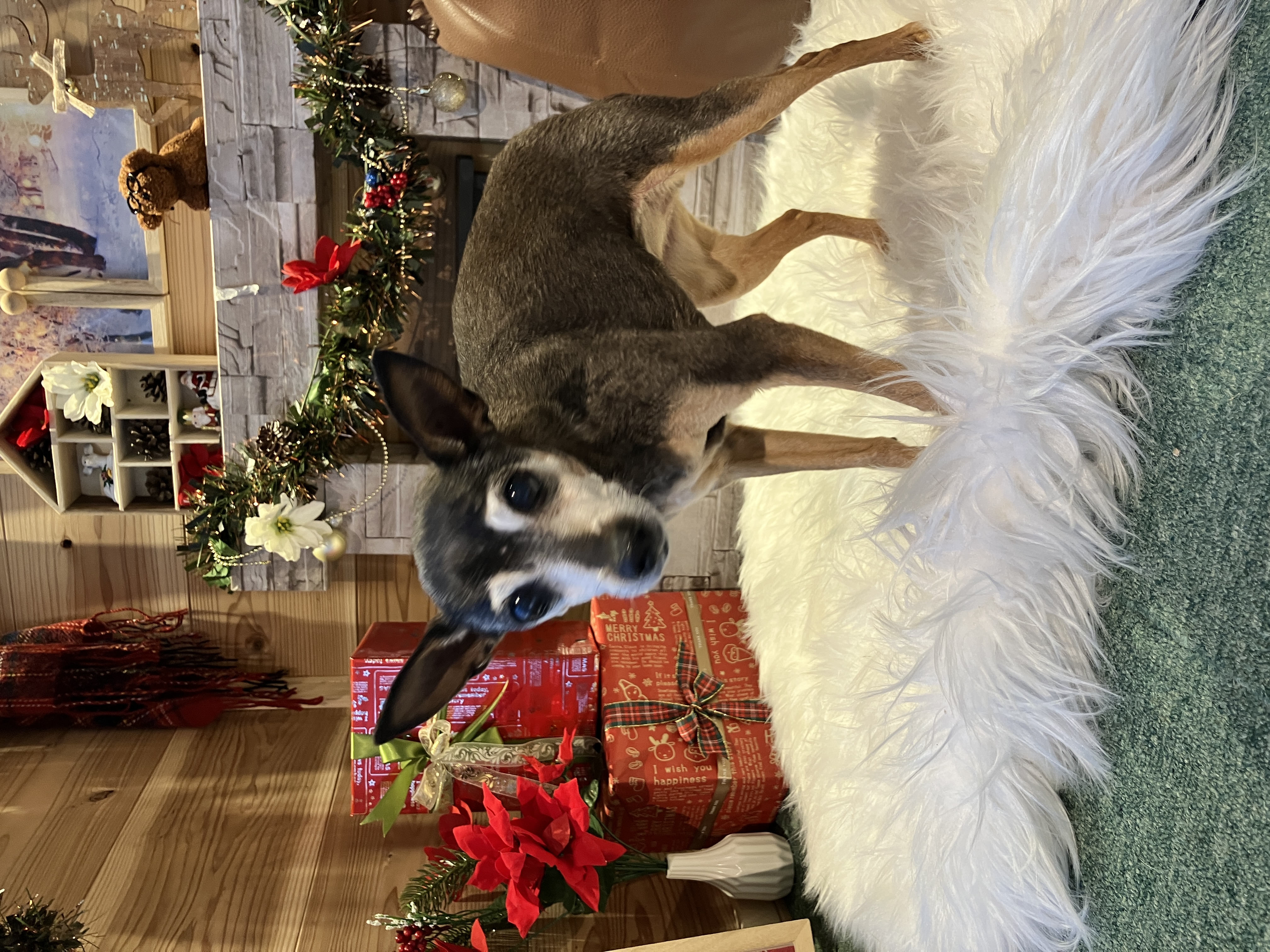 フォトスポット