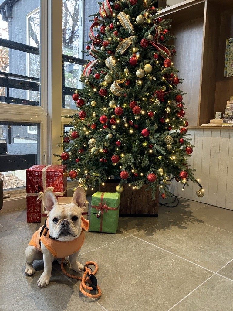 フォトスポット