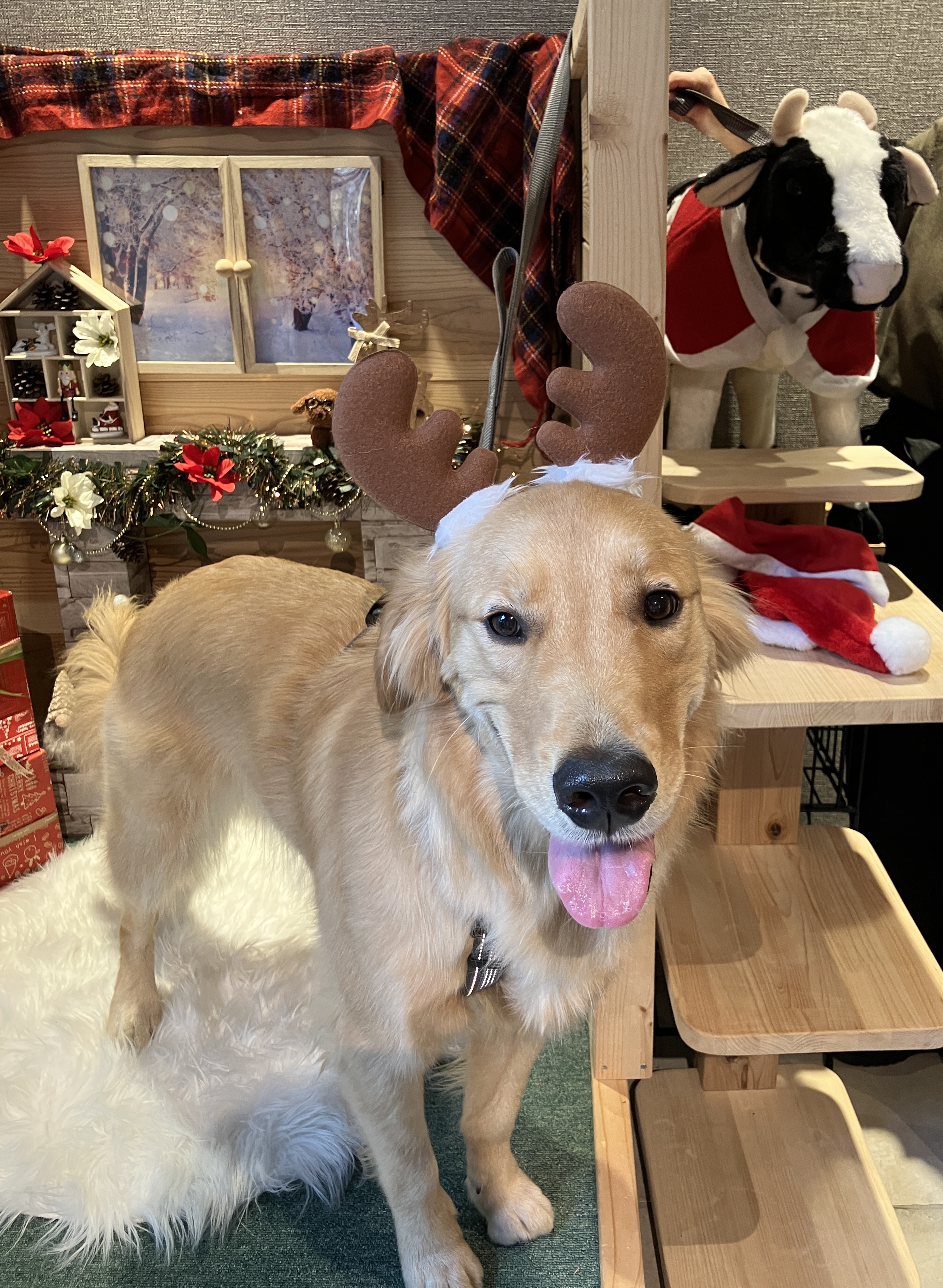 フォトスポット