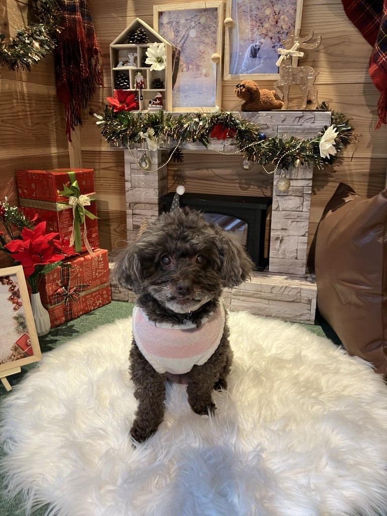 フォトスポット