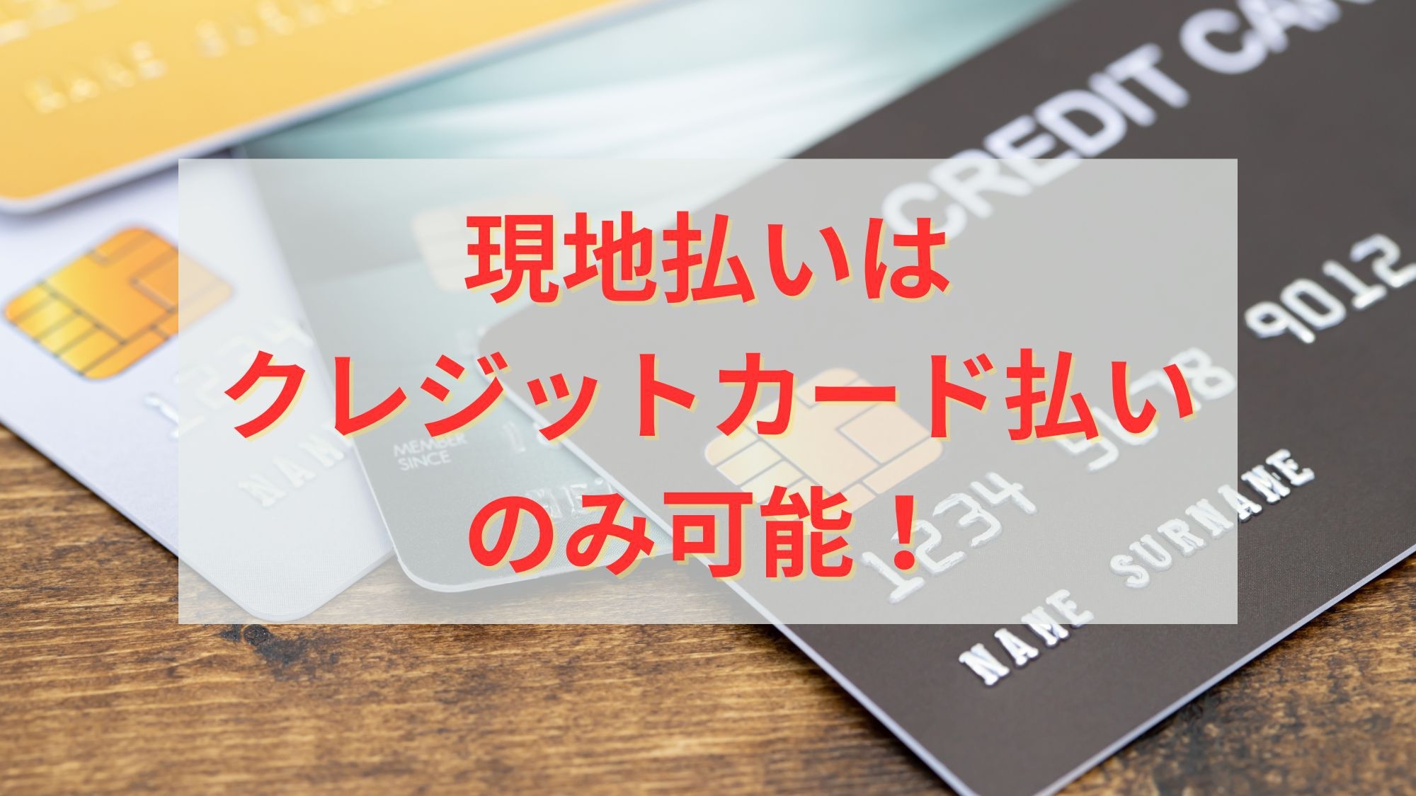 素泊まりプラン／※現地払いは「クレジットカード決済」のみ可能※