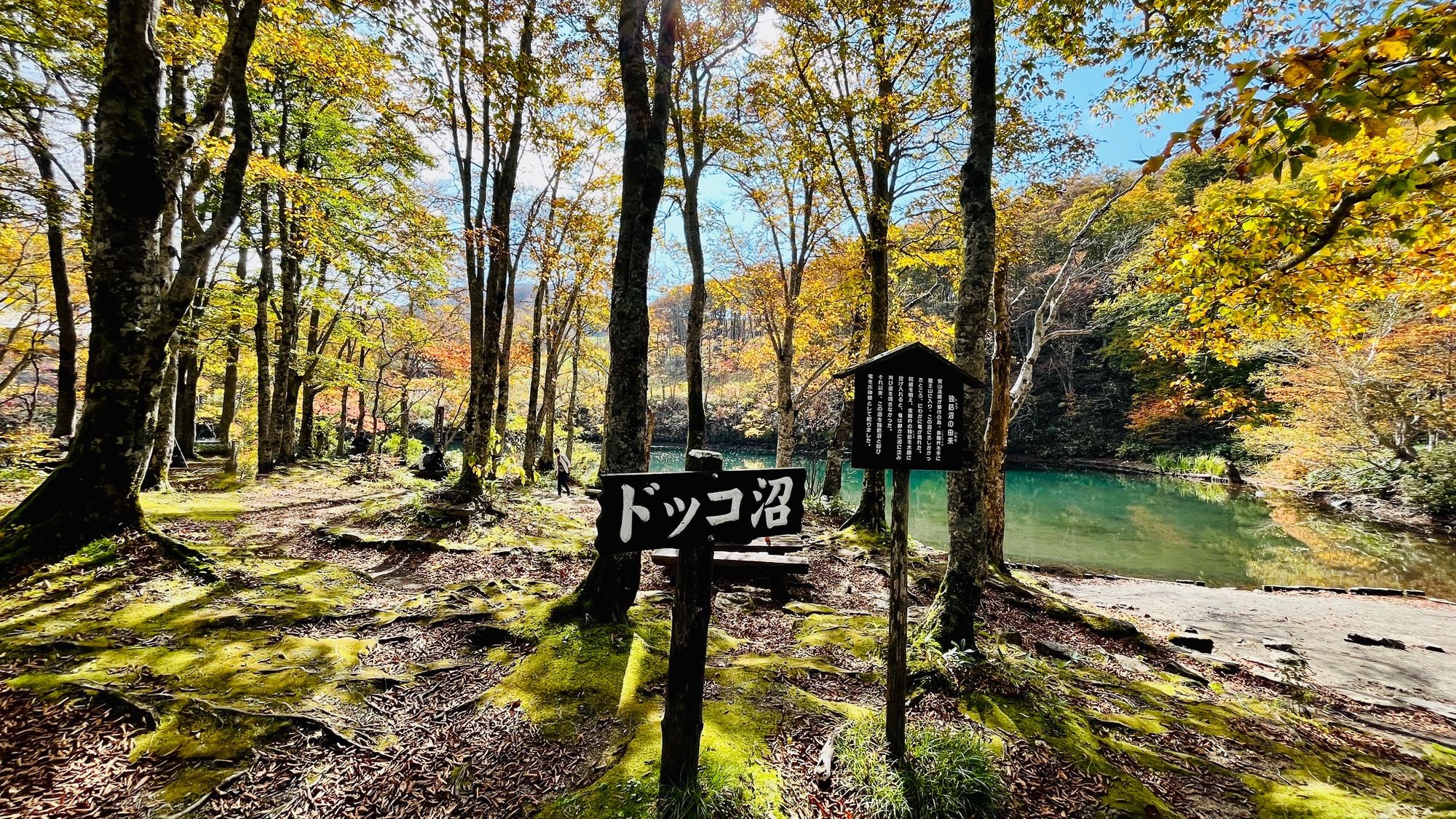 【周辺観光】ドッコ沼