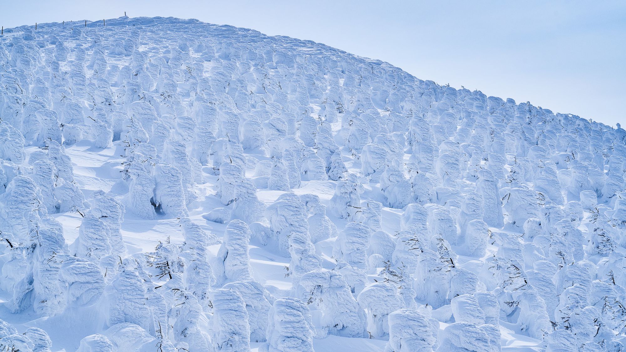 【周辺観光】蔵王の樹氷