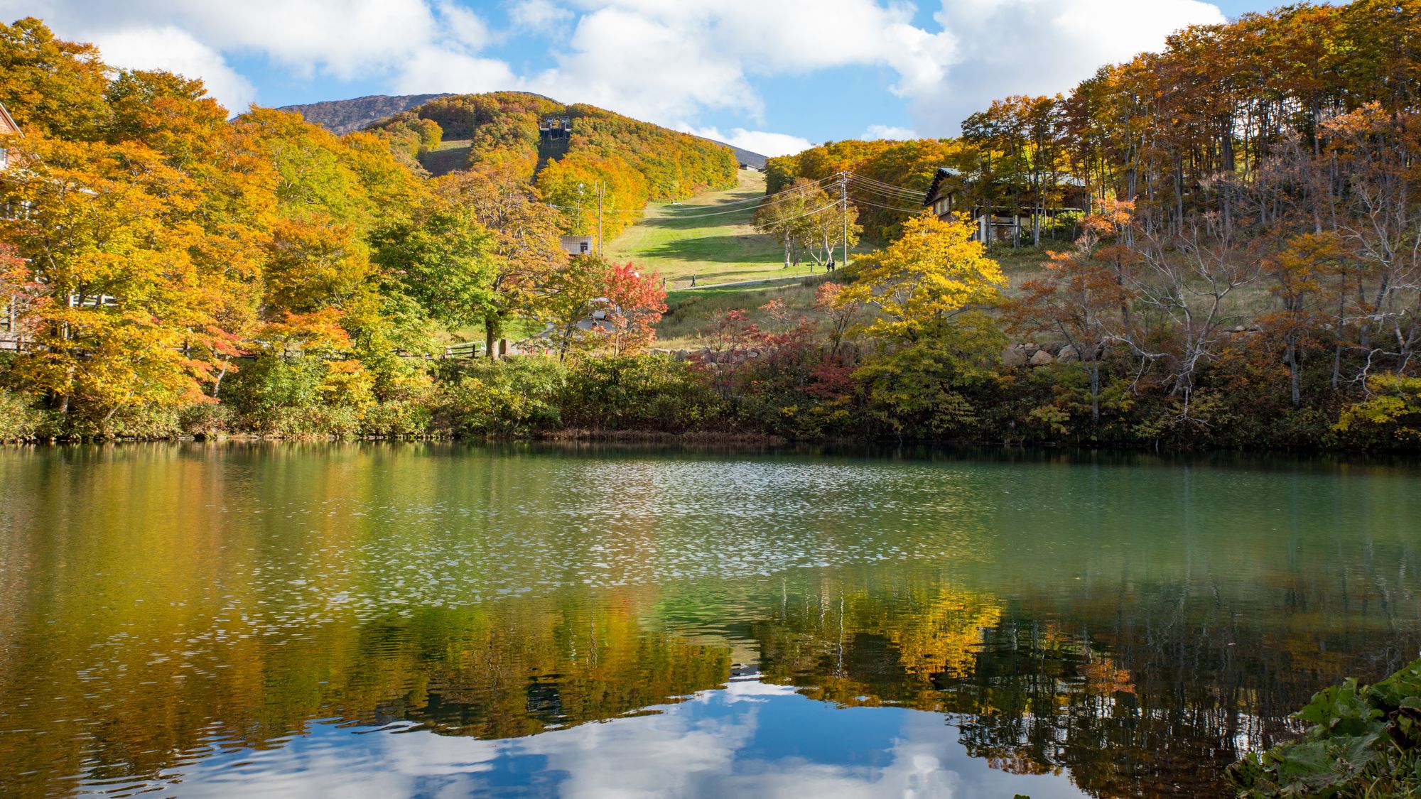 【周辺観光】ドッコ沼