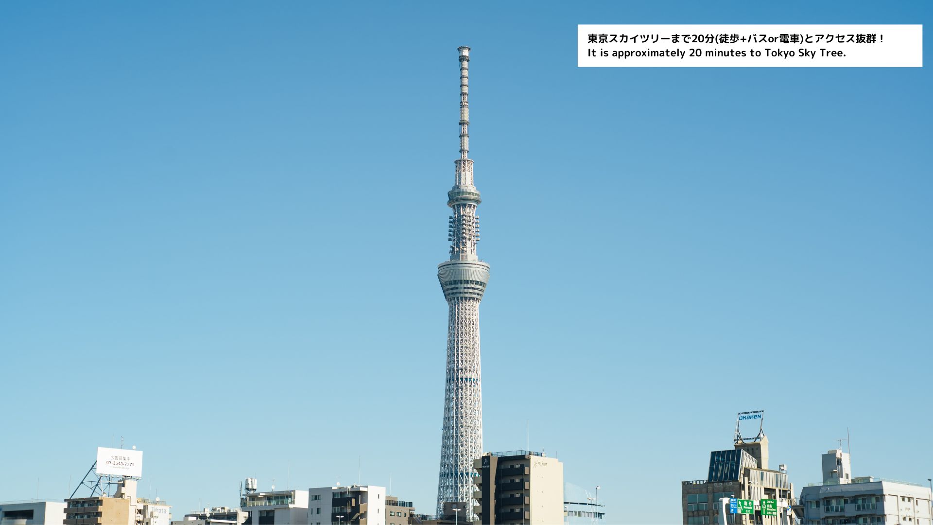 周辺の観光スポット