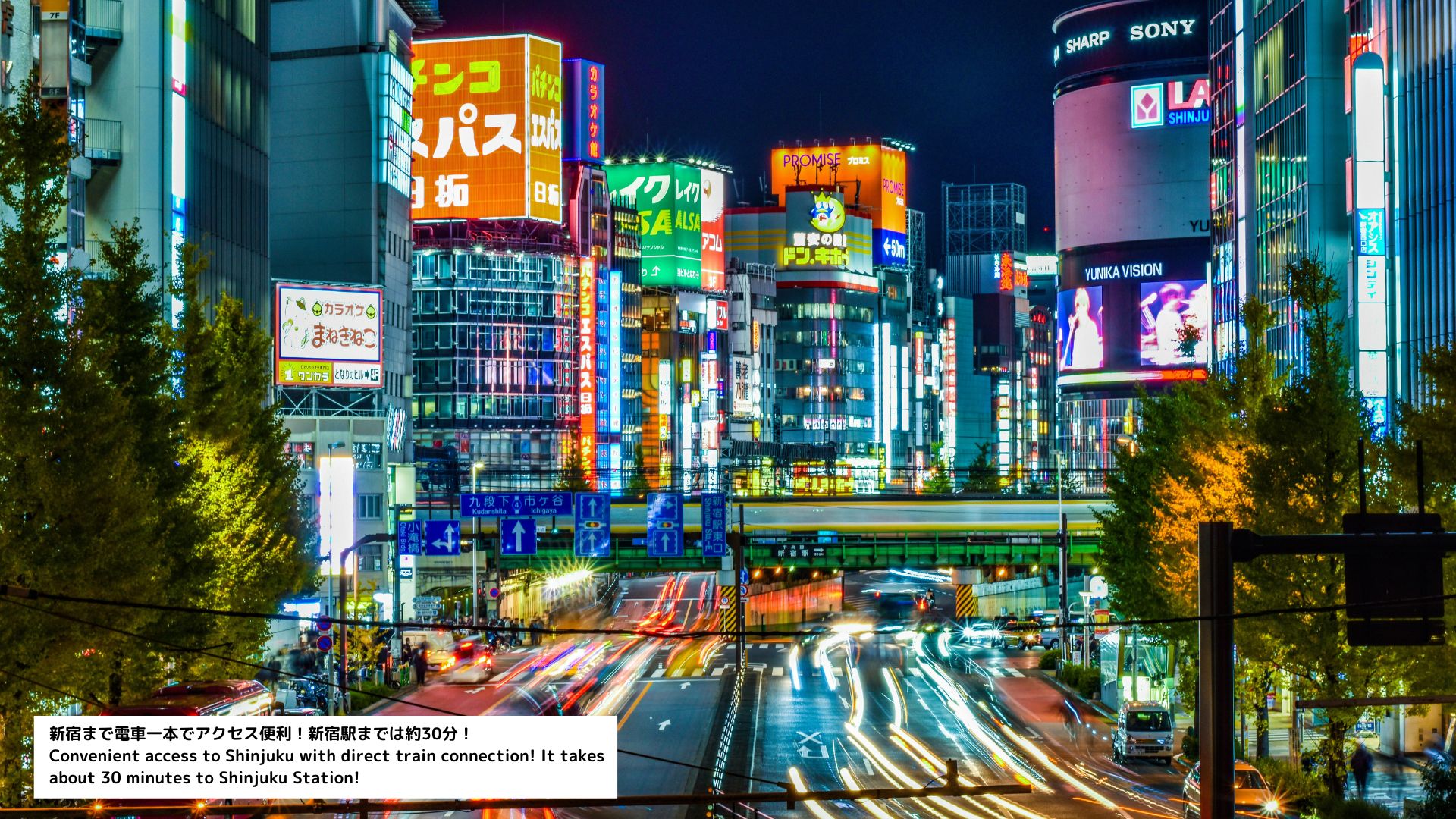 周辺の観光スポット