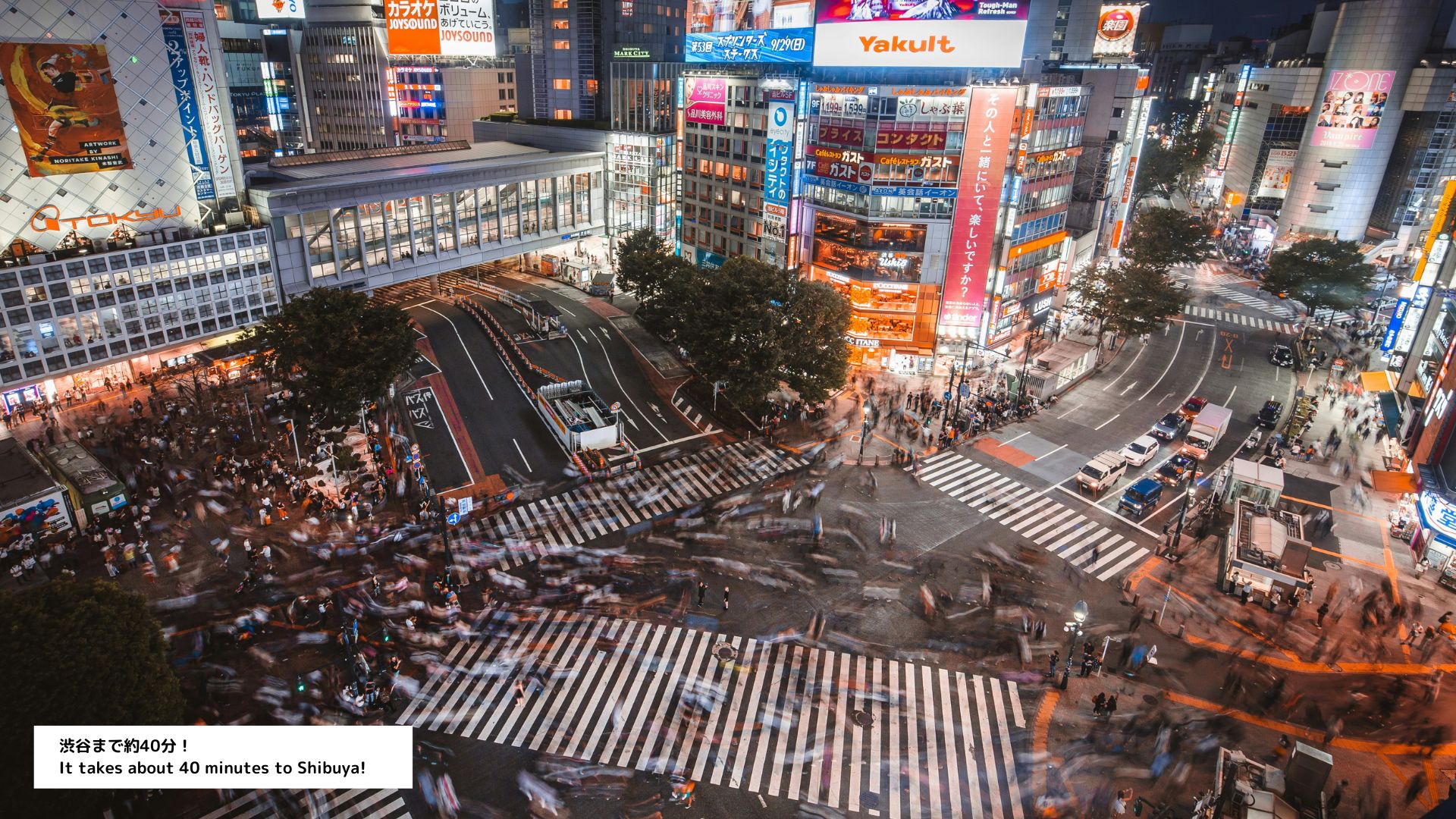 周辺の観光スポット