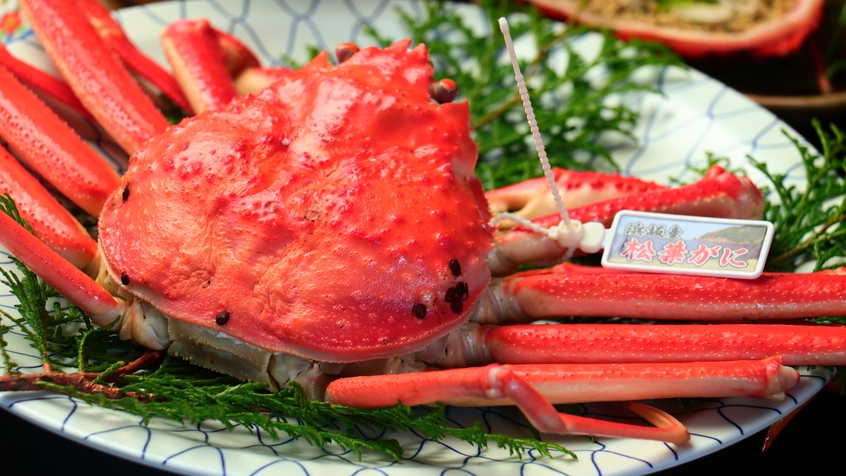 松葉ガニ1杯×活カニの刺身×活焼きガニ付き♪最上級の蟹三昧で大満足★