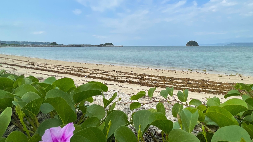 ・【ビーチ】当施設から徒歩1分以内で行ける沖縄の青い海に心癒されます。