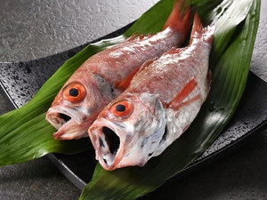 【１泊２食｜春限定】シェフおまかせ★春の創作コース「山陰産のどぐろ、鳥取和牛」｜個室食確約