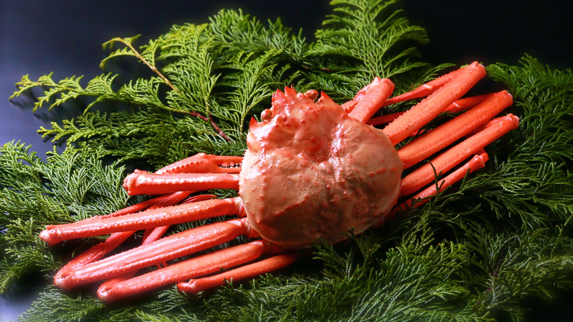 【秋限定の贅沢】境港産紅ズワイガニを茹で蟹で、ひとり１枚ご提供／例　（C）鳥取県