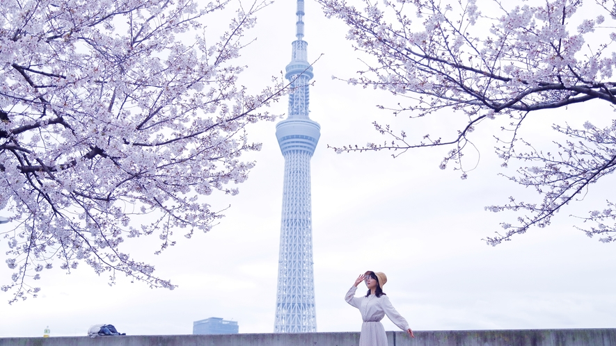 【周辺観光イメージ】東京スカイツリーの展望台からの絶景は観光客に人気です♪