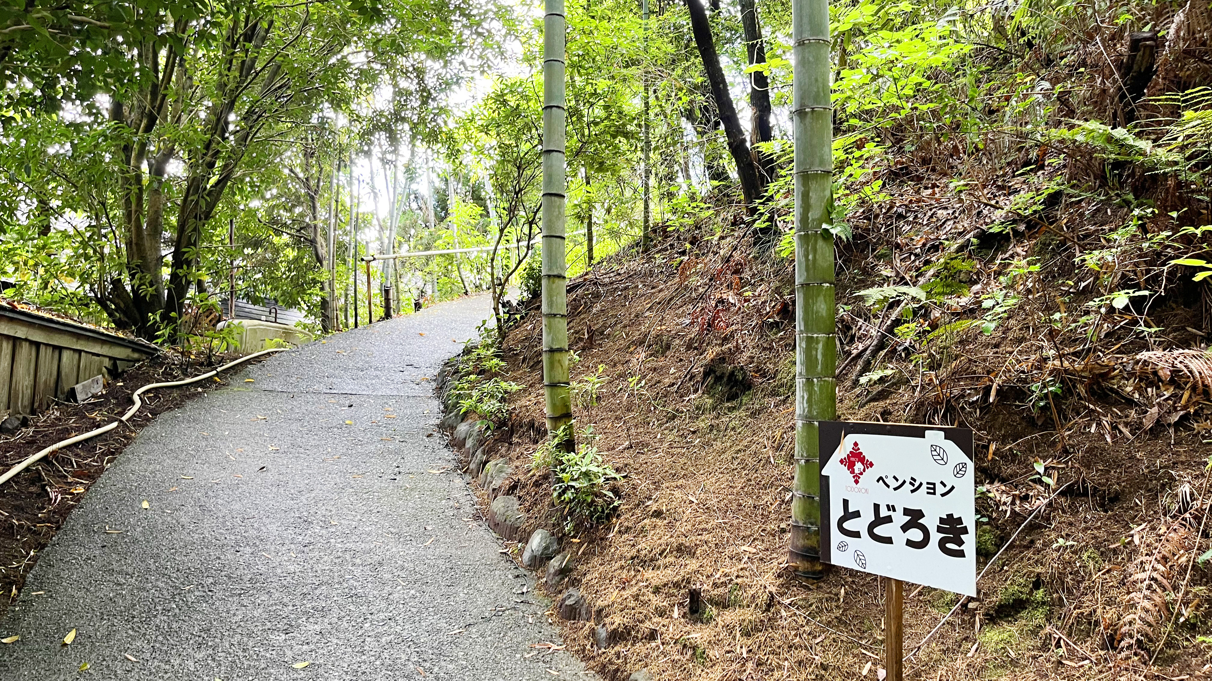 駐車場からの道のりはキャリーケースだと危ない可能性がございます