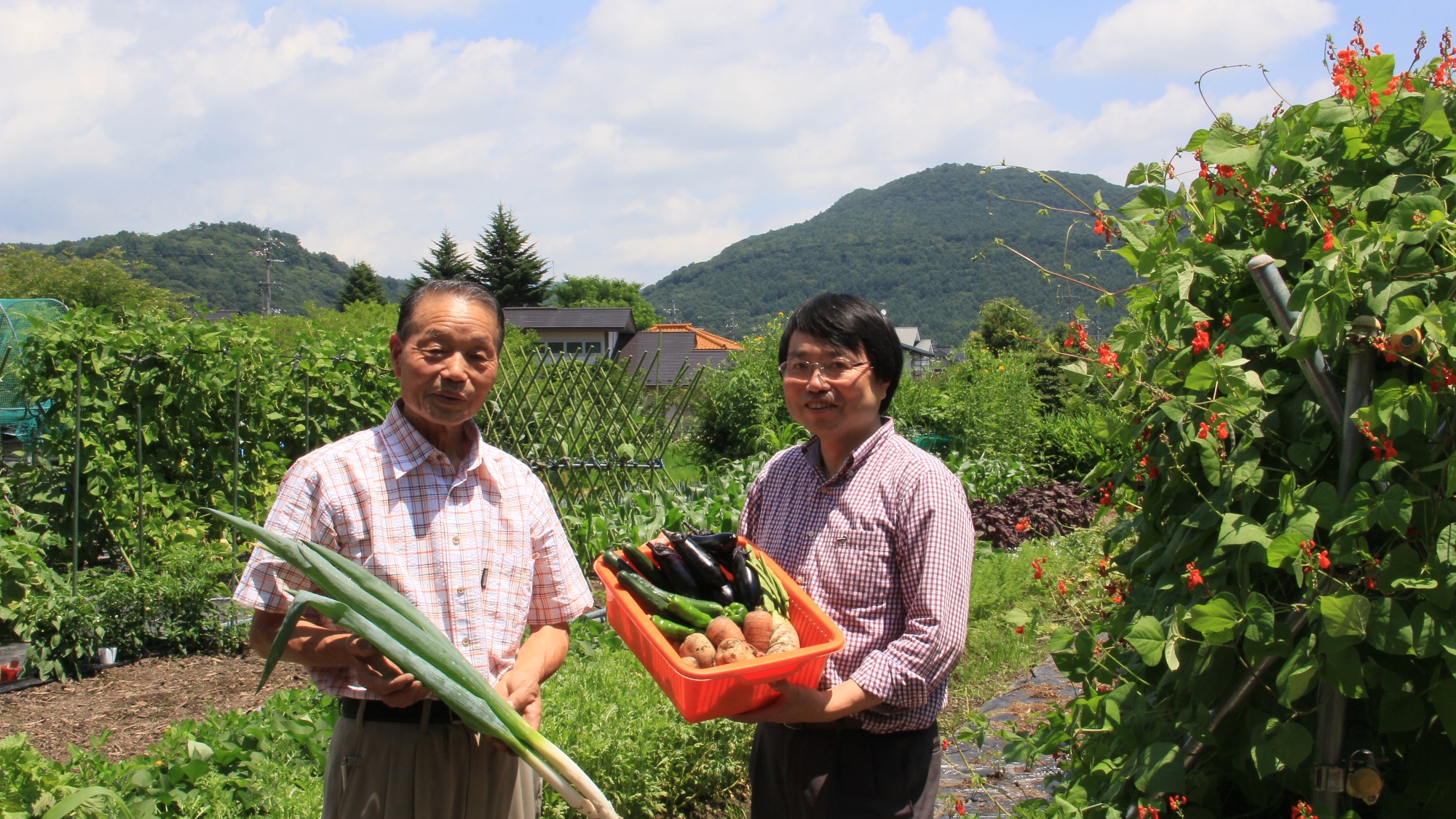 小さな畑があり、お客様に新鮮なお野菜をお楽しみいただけるよう、大切に栽培しています。