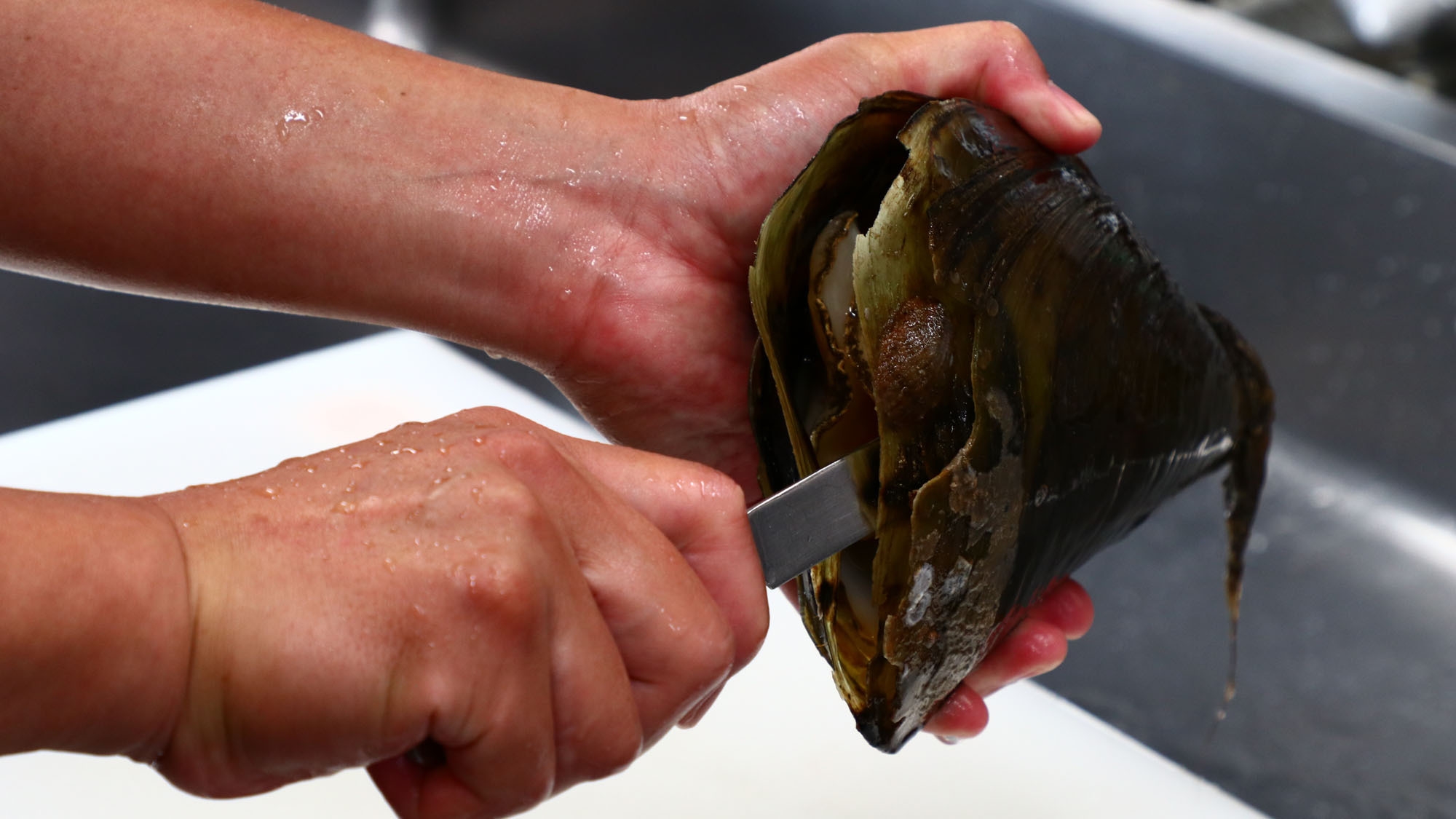 【2食付】宇津江荘の特選♪旬魚の姿造り大皿盛り＆和牛陶板焼・季節の逸品を味わう特選コース