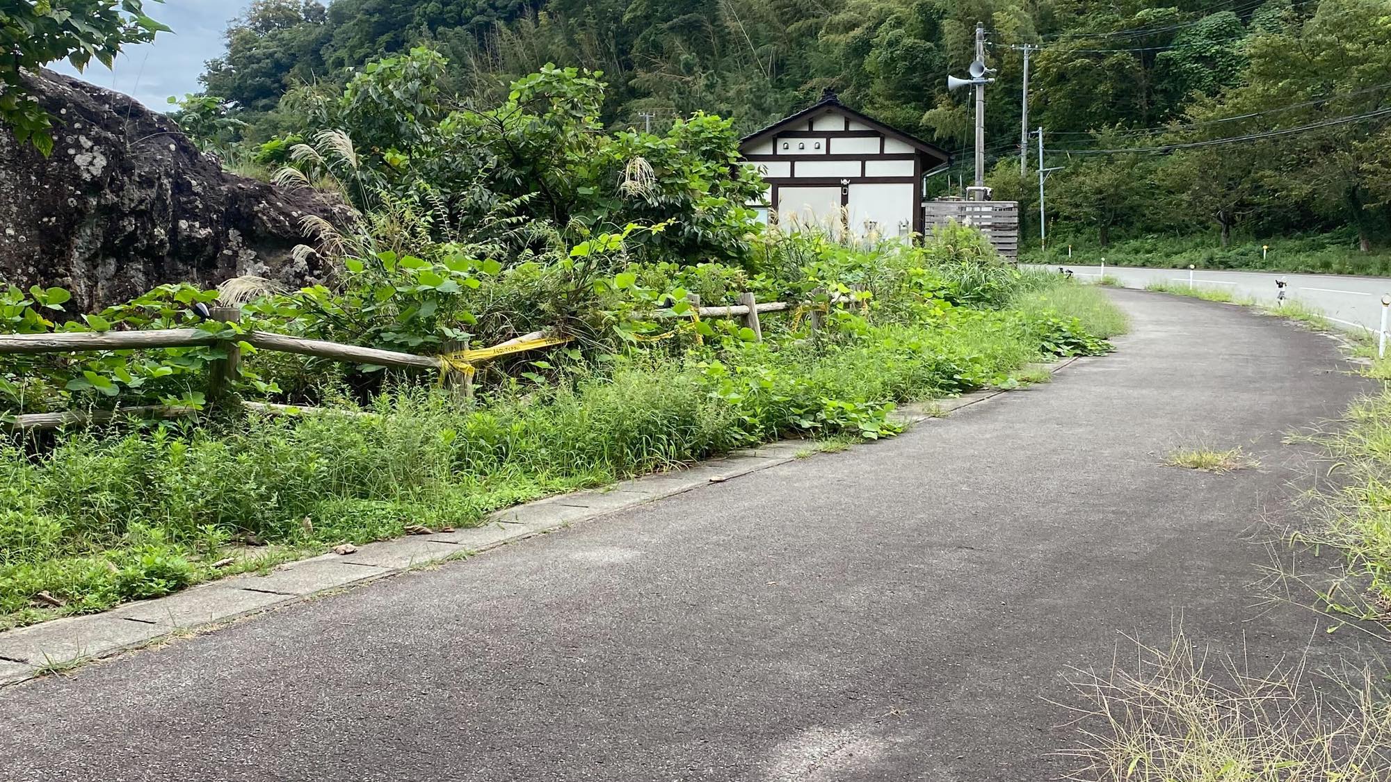 シャワー、トイレ棟までの道　※客室から徒歩客室から約100メートルです