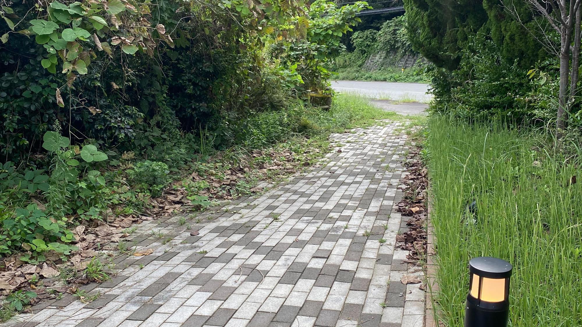 シャワー、トイレ棟までの道　※客室から徒歩客室から約100メートルです