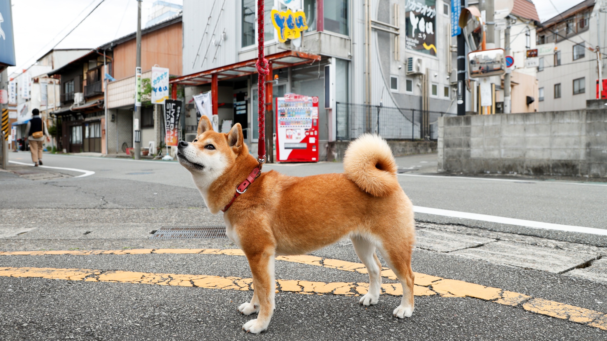 ホテル紀伊田辺周辺