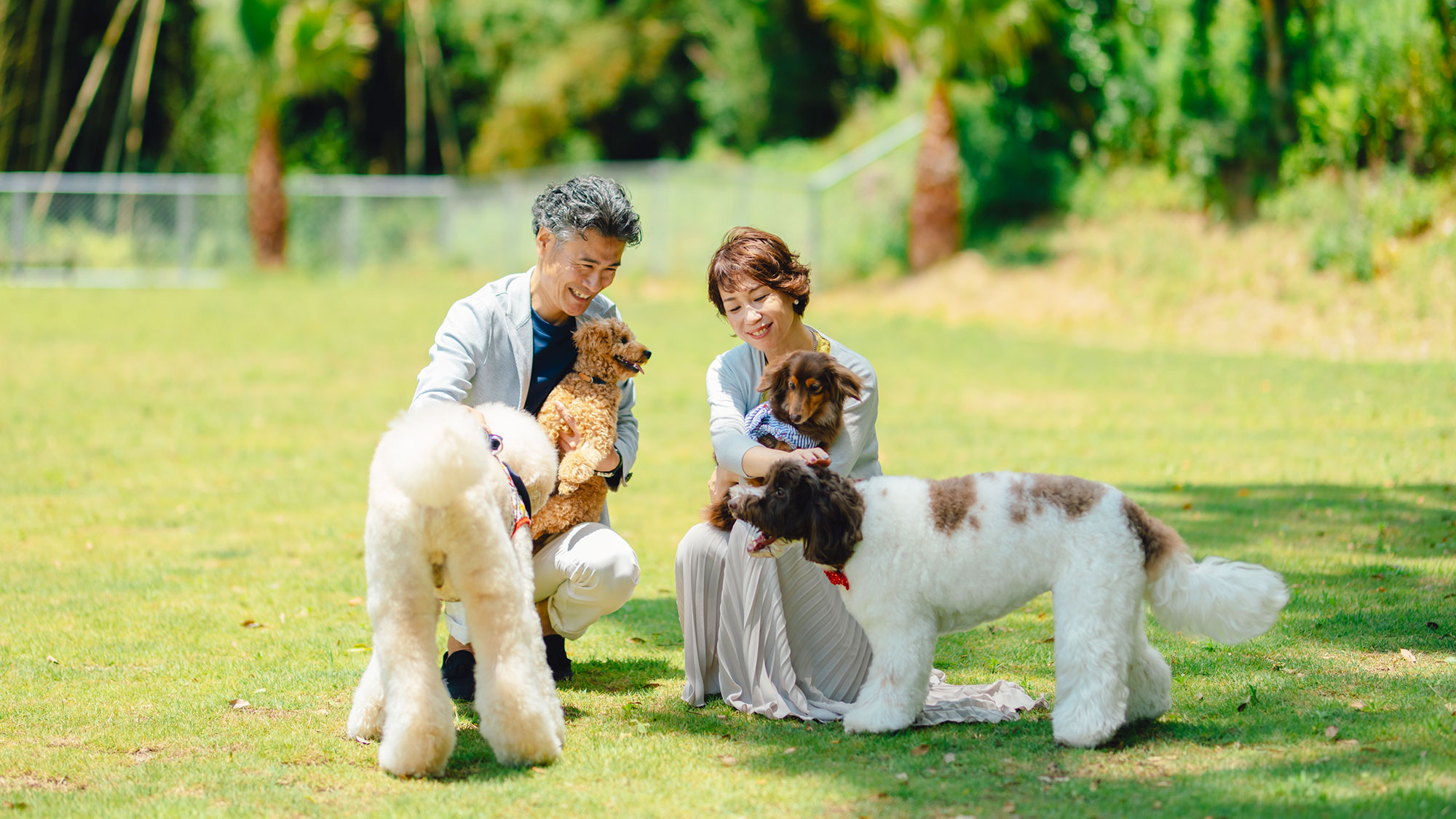 【ドッグラン】大型犬用と中型犬・小型犬用で分かれているので、安心して遊べます。