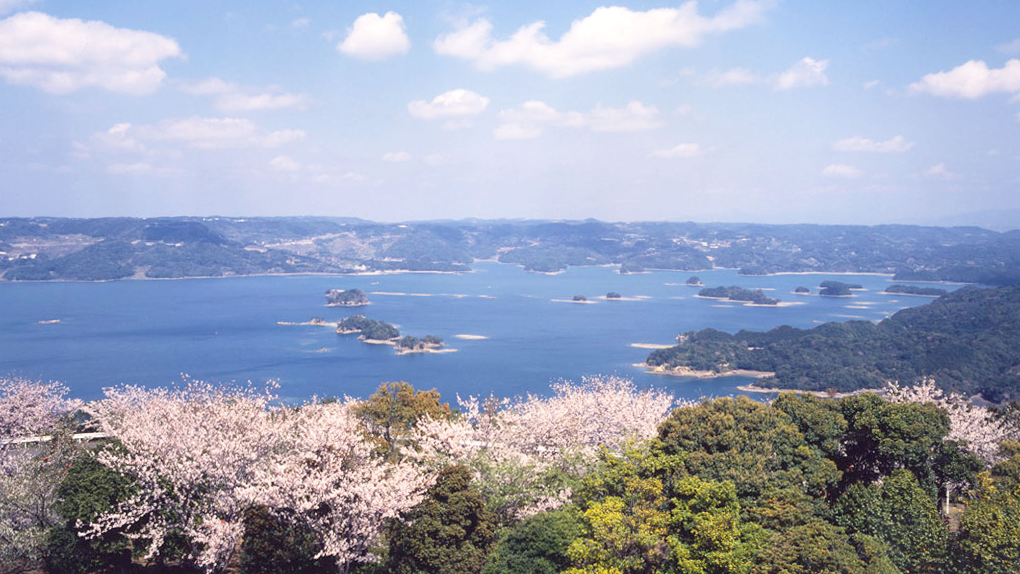 【観光情報】大山公園・大山展望台の桜（当施設からお車で約10分）