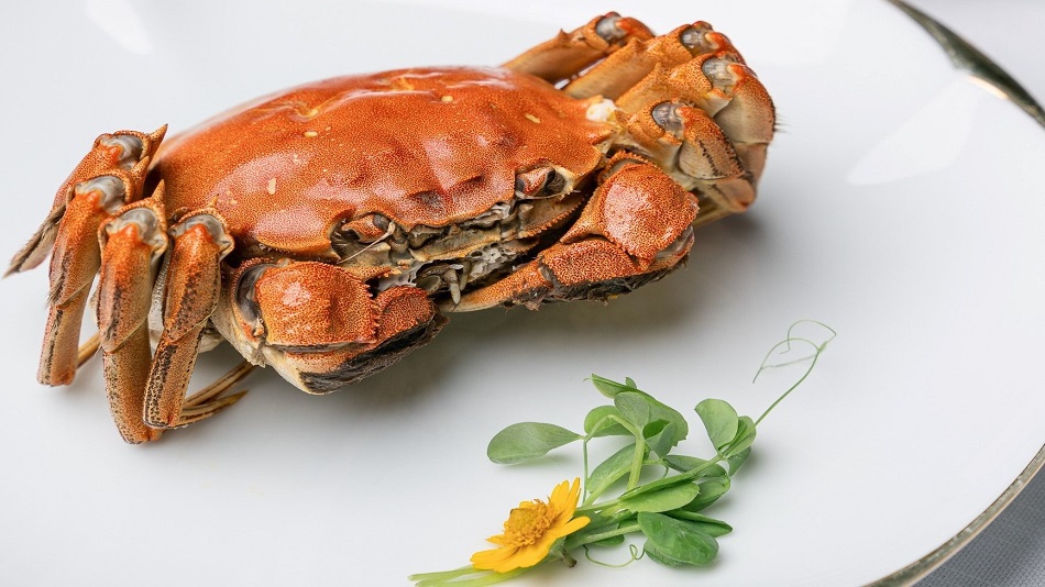 Yu Ting Yuan レストラン