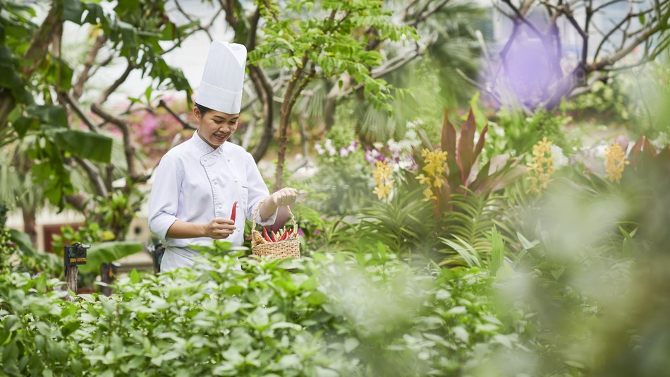 ハーブ・ガーデン