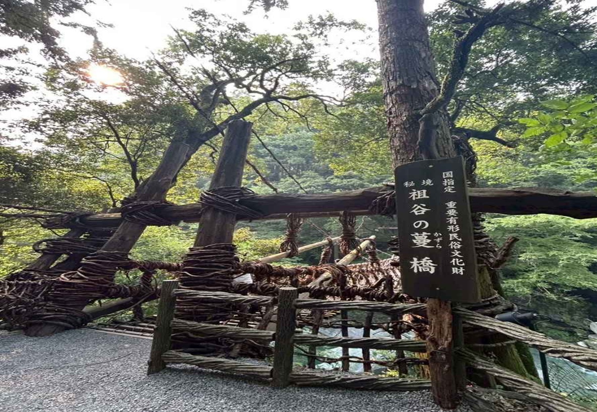 祖谷のかずら橋（当ホテルからお車で約２時間）