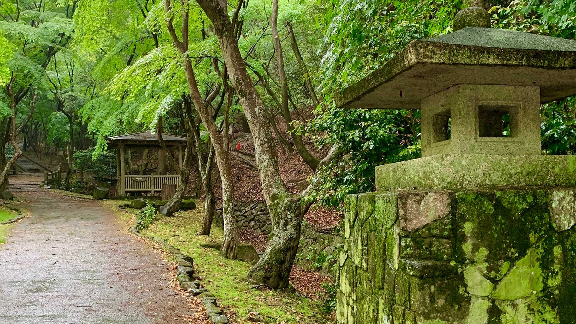 ・【城下町】生い茂る木々に溶け込んだ灯篭が龍野の自然と歴史を感じさせます