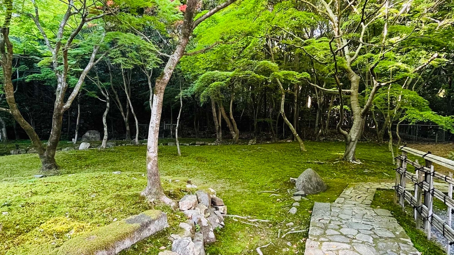 ・【城下町】緑が生い茂る閑静な散歩道。澄んだ空気に包まれて心がとても休まります