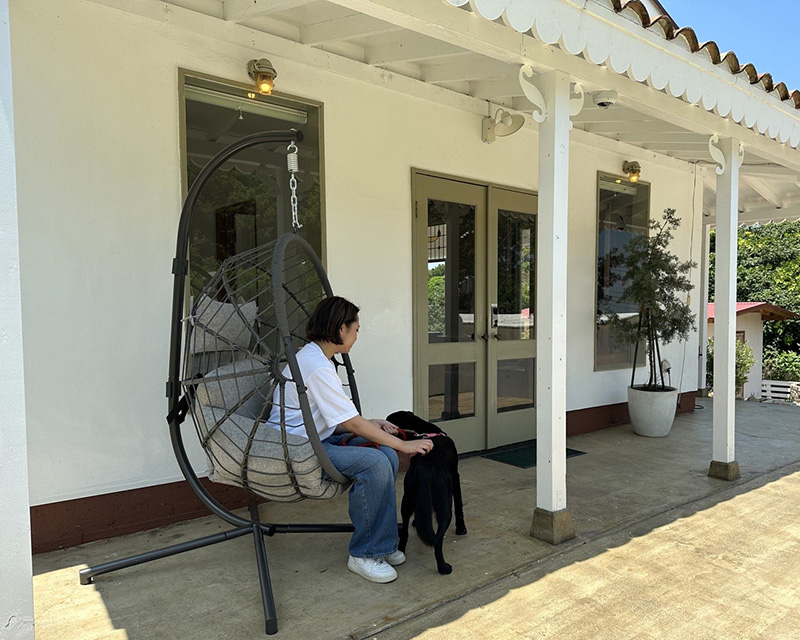 ハンキングチェア