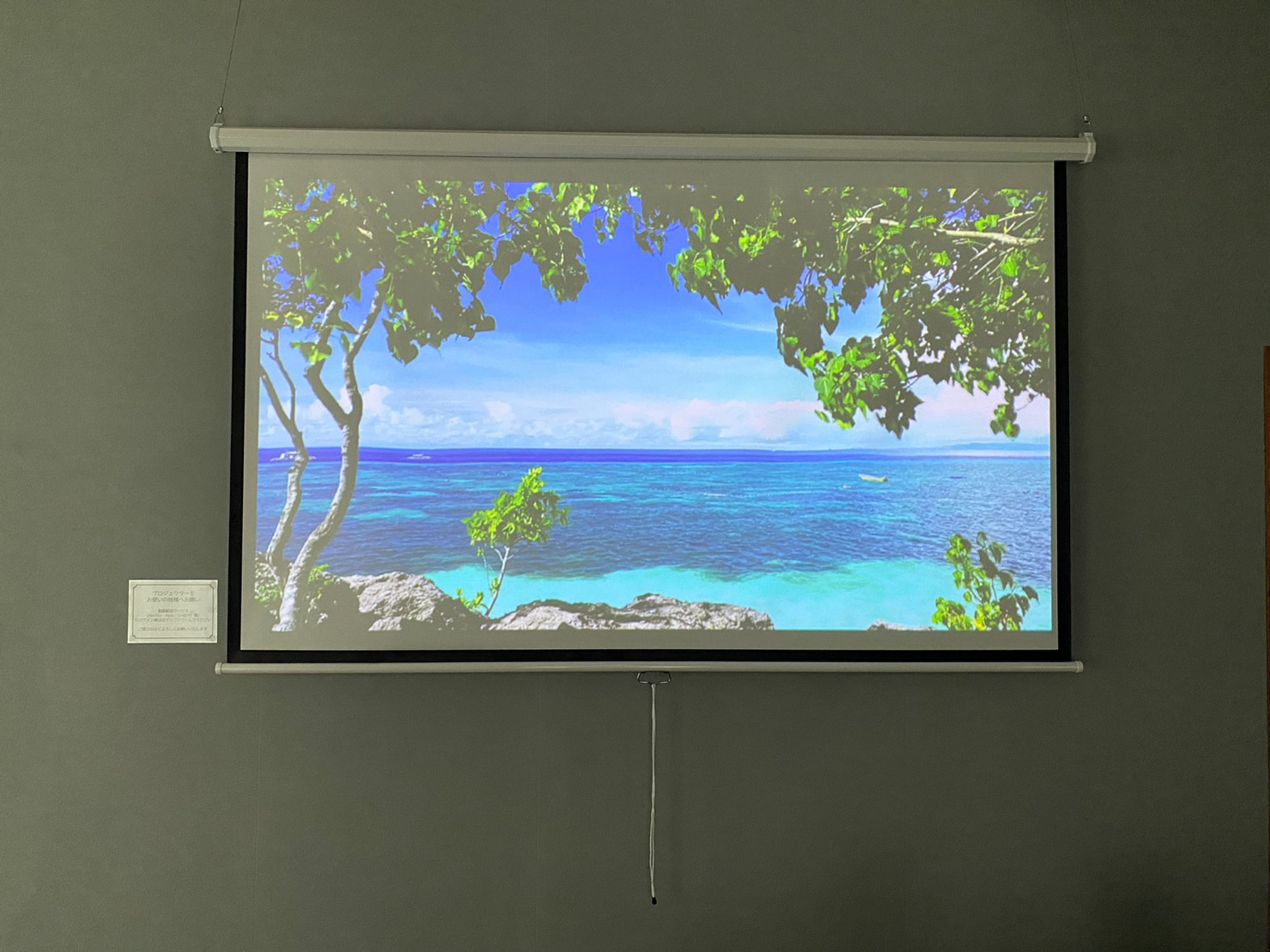 大画面プロジェクター2