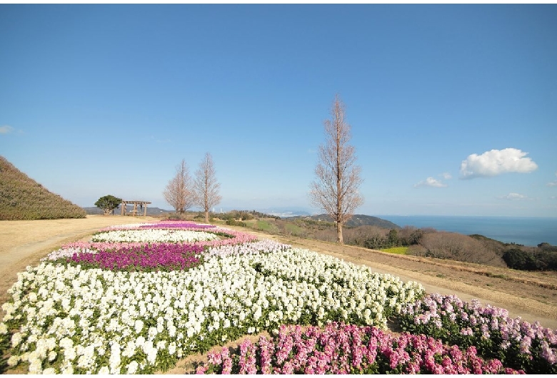 あわじ花さじき